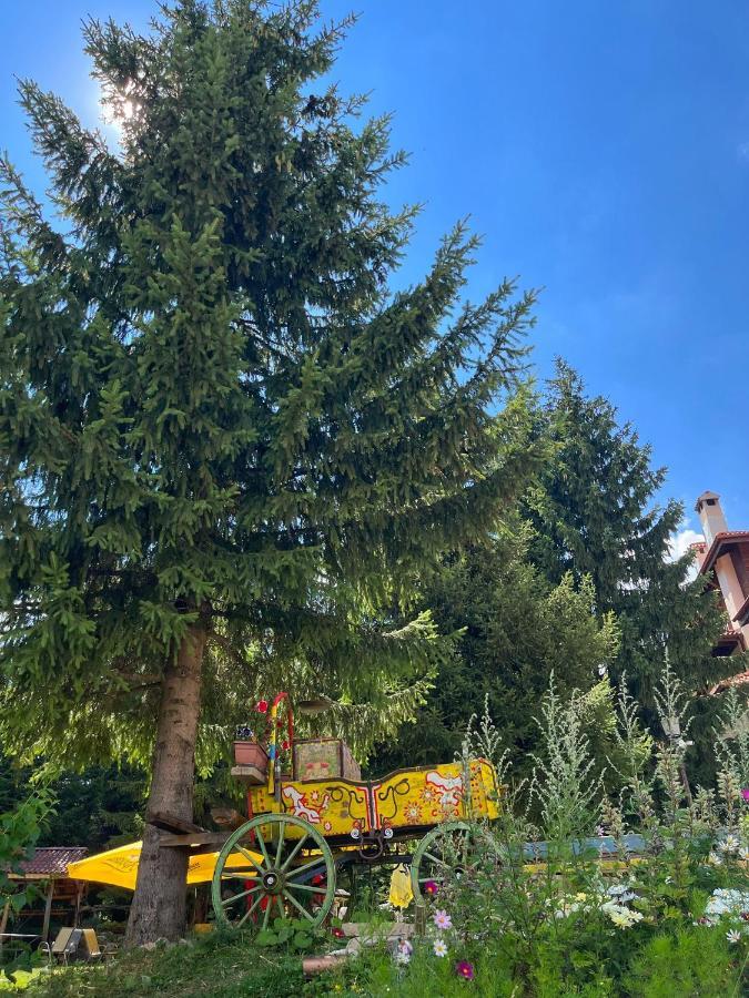 Апартамент Горска Приказка - Forest Tale Smolyan Bagian luar foto