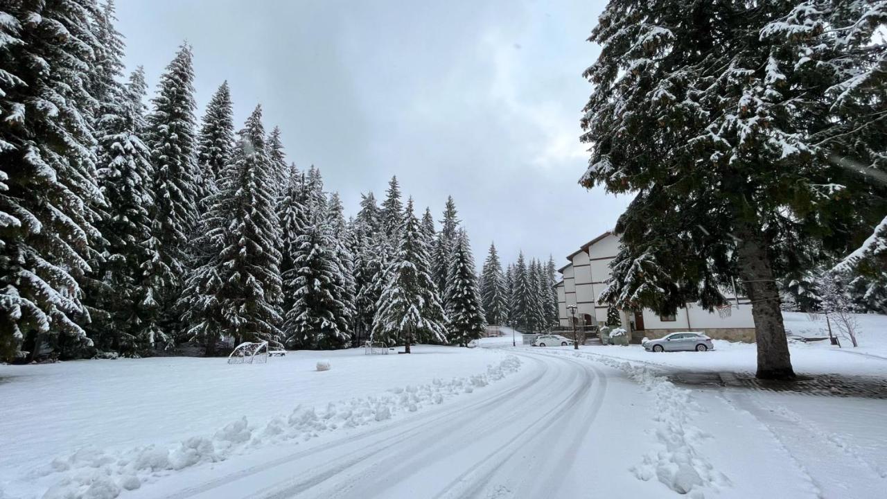 Апартамент Горска Приказка - Forest Tale Smolyan Bagian luar foto
